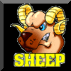 Sheep